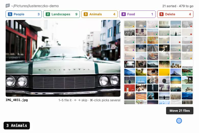 The sorter mid-way: a large photo of a car, a grid of thumbnails with coloured dots for the ones already filed, and a Move 21 files button.
